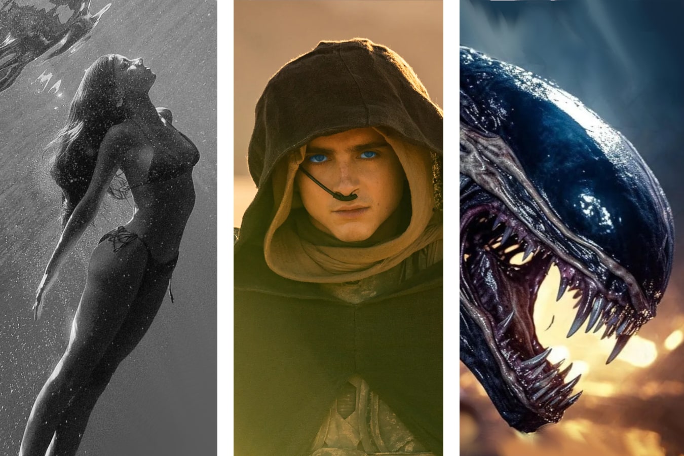 Immagini di "Alien:Romulus", "Dune - Parte due" e "La Sirena", tutti film in uscita nel 2024