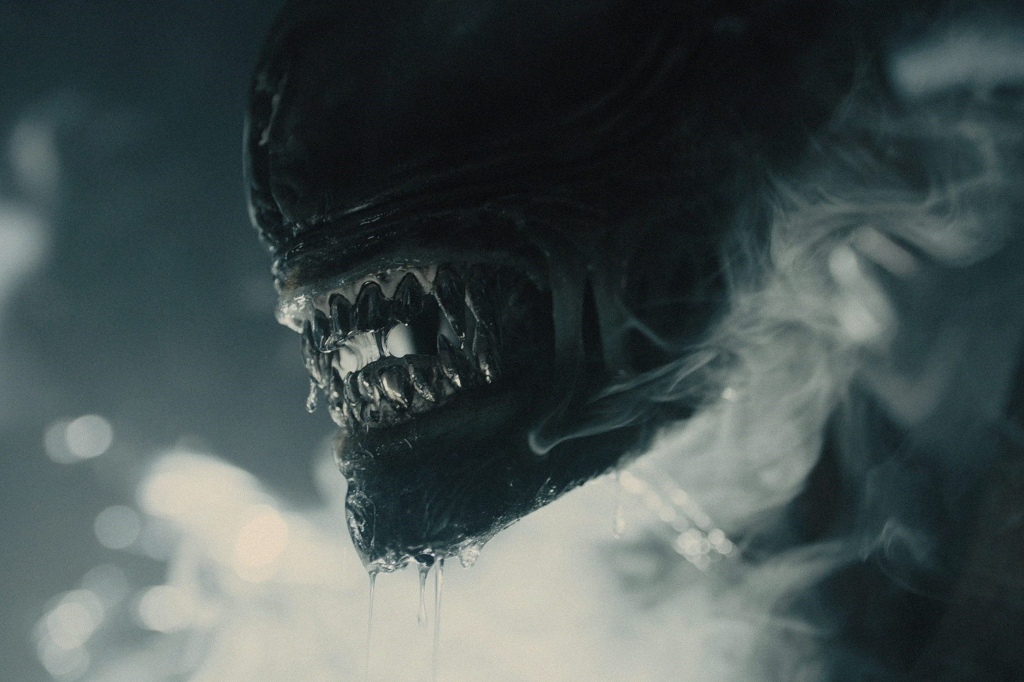 Questa immagine tratta dal film “Alien Romulus” ritrae un primo piano del terrificante volto di uno Xenomorfo, una creatura del franchise di “Alien”. La testa allungata e minacciosa della creatura è parzialmente oscurata da ombre e ciuffi di nebbia o fumo, che ne esaltano l'aspetto sinistro. I suoi denti affilati sono scoperti, con la saliva che cola dalla bocca, riflettendo la natura predatoria della creatura. L'illuminazione è fioca e proietta inquietanti riflessi che enfatizzano le caratteristiche da incubo dell'alieno, facendo percepire la scena come tesa e presagita. L'immagine cattura l'essenza della paura e dell'orrore associati all'iconico Xenomorfo.