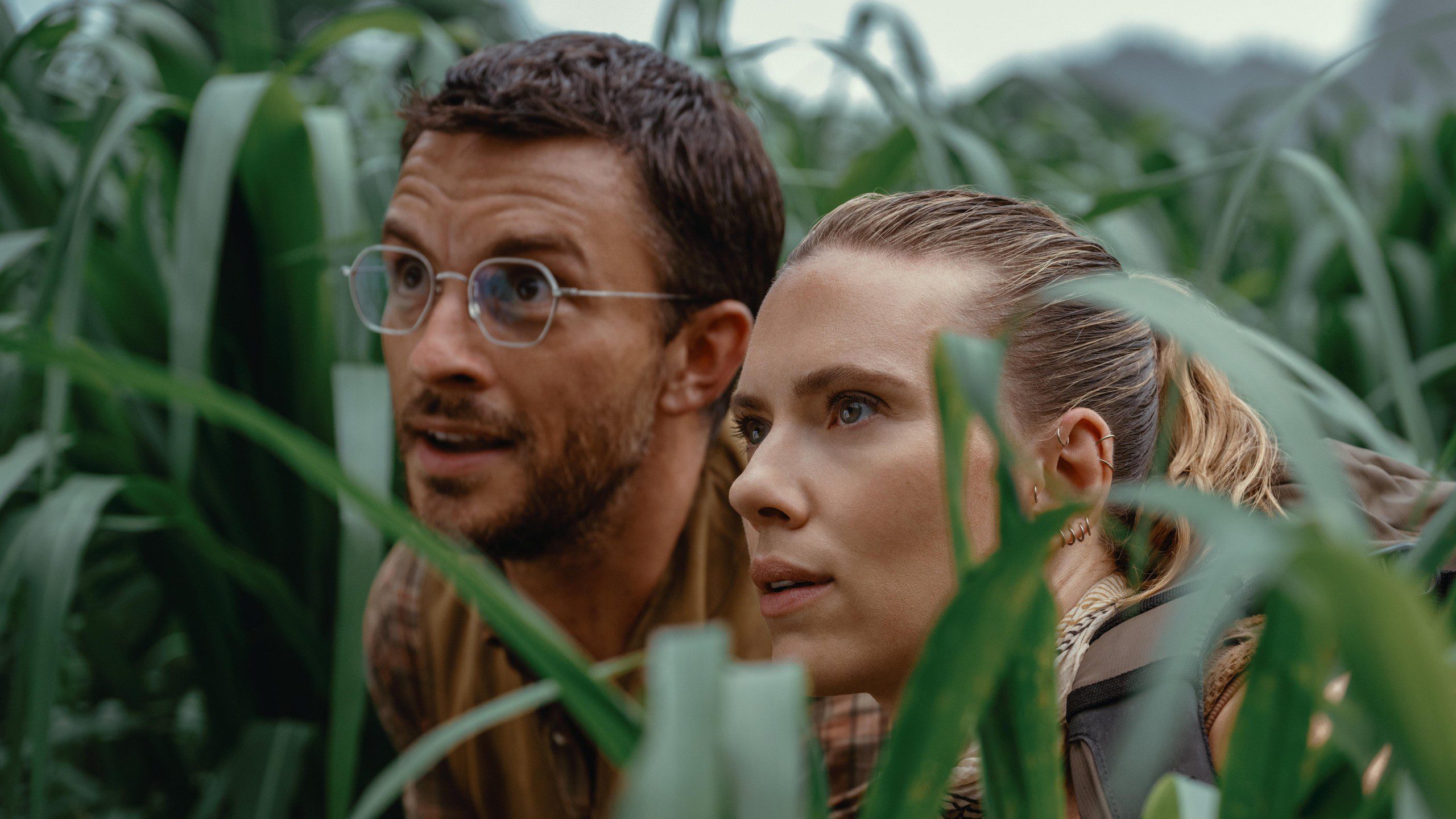 Due personaggi del film "Jurassic World: Rebirth" vengono mostrati nascosti tra l'alta vegetazione, probabilmente in una giungla o in una fitta foresta. A sinistra, un uomo con capelli corti e scuri, occhiali e un aspetto robusto guarda intensamente in avanti con un pizzico di eccitazione o preoccupazione. A destra, una donna con i capelli biondi legati all'indietro in una coda di cavallo ha un'espressione concentrata e seria, con i lineamenti evidenziati da piccoli e sottili piercing alle orecchie. La vegetazione lussureggiante che li circonda suggerisce che stanno compiendo una missione tesa o che stanno eludendo qualcosa nel loro ambiente.